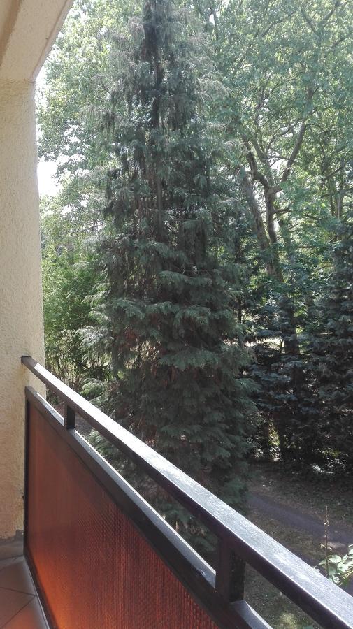 Gyoengyvirag Ueduelo - Mario Apartman Harkány Exteriér fotografie